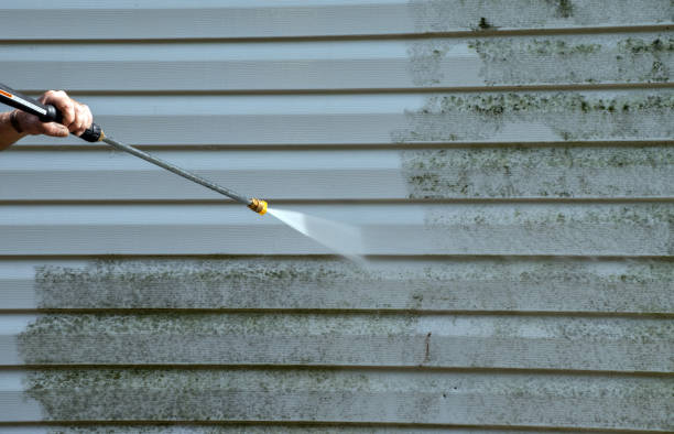 Best Driveway Pressure Washing  in Ridgway, PA